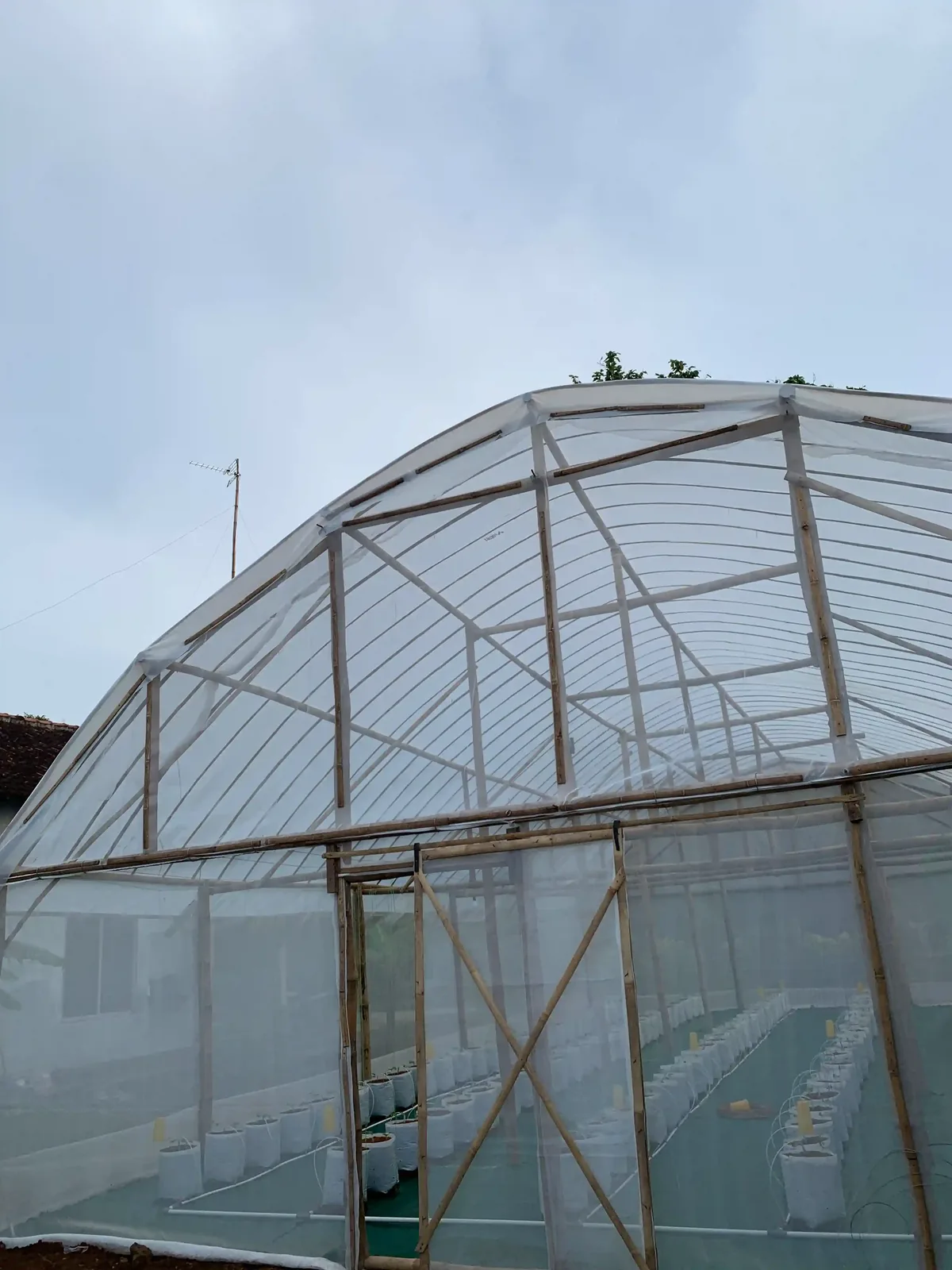 Greenhouse RASAVANA dari luar