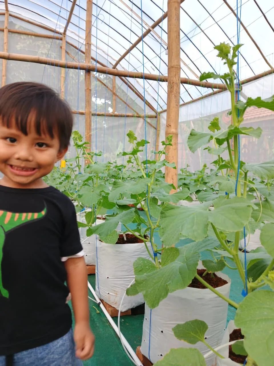 Pengunjung anak di dalam greenhouse
