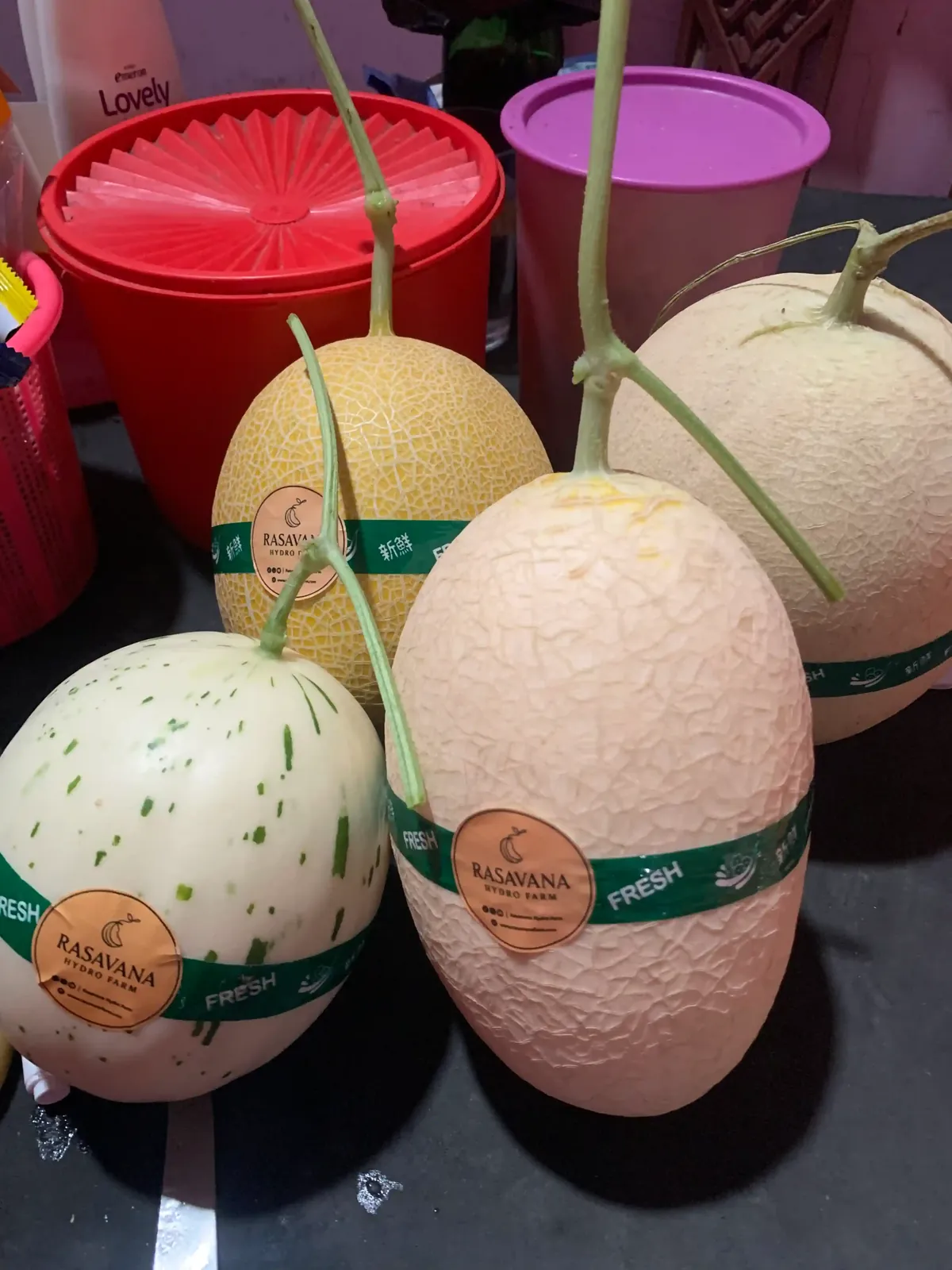 Tiga melon berpita RASAVANA siap kirim